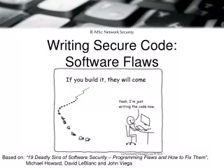 Writing Secure Code: Software Flaws