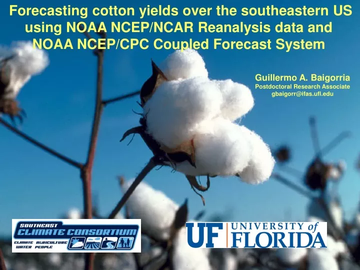 forecasting cotton yields over the southeastern