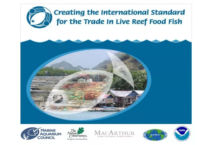 creating the international standard for the trade in live reef food fish