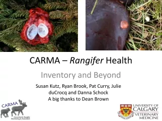 CARMA –  Rangifer  Health