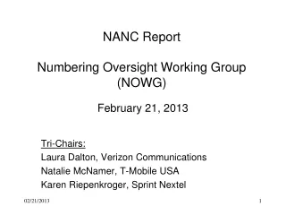 NANC Report  Numbering Oversight Working Group (NOWG)