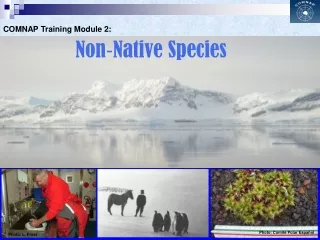 Non - Native Species