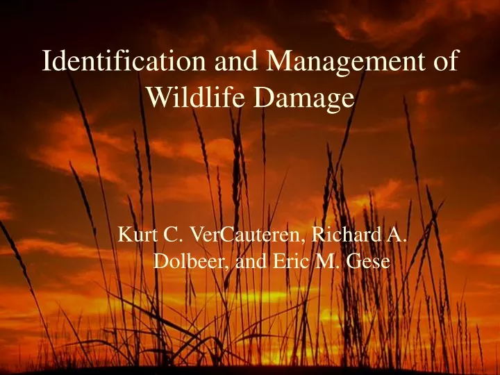 identification and management of wildlife damage