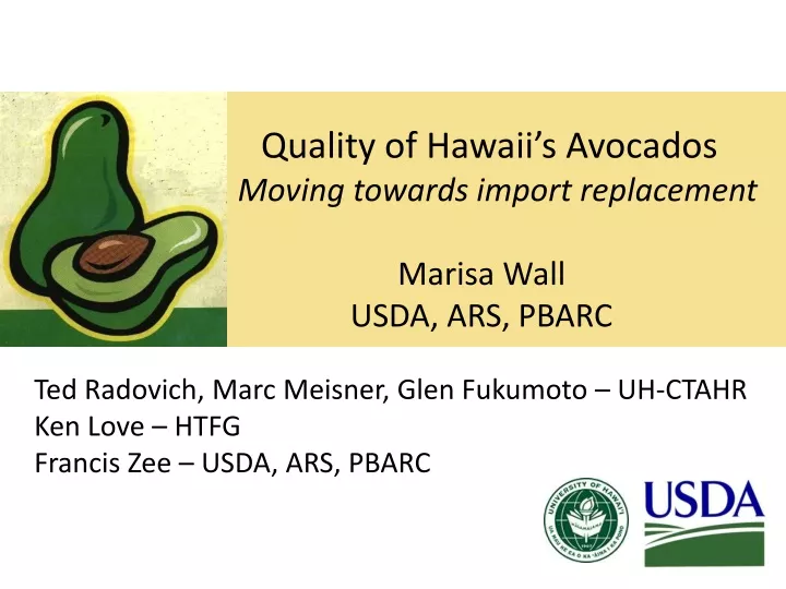 quality of hawaii s avocados moving towards import replacement marisa wall usda ars pbarc