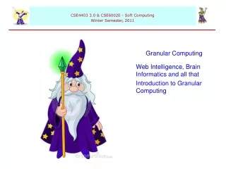 Granular Computing Web Intelligence, Brain Informatics and all that