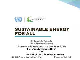 Dr. Kandeh K. Yumkella   Under-Secretary-General
