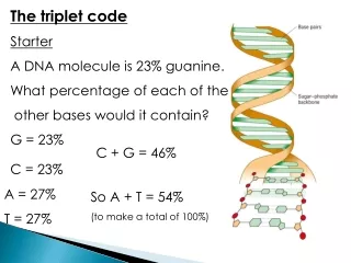 The triplet code Starter A DNA molecule is 23% guanine. What percentage of each of the