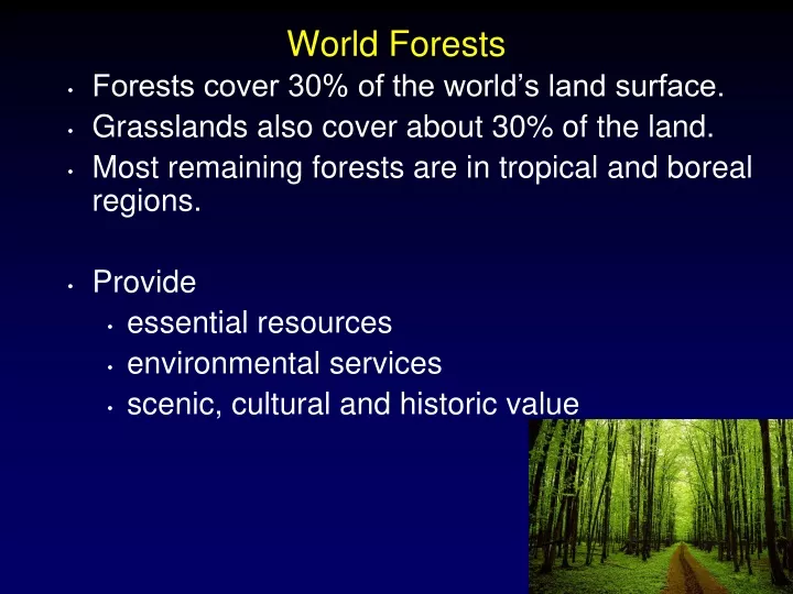 world forests