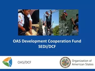 OAS Development Cooperation Fund SEDI/DCF