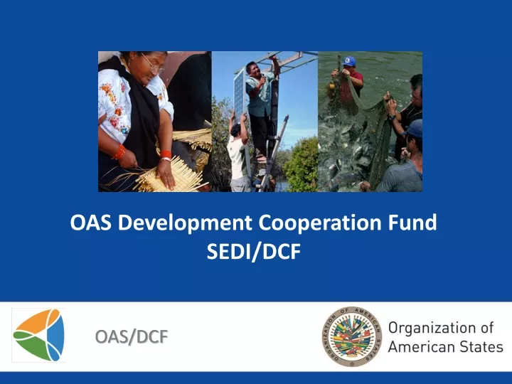 oas development cooperation fund sedi dcf