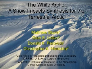 The White Arctic: A Snow Impacts Synthesis for the Terrestrial Arctic