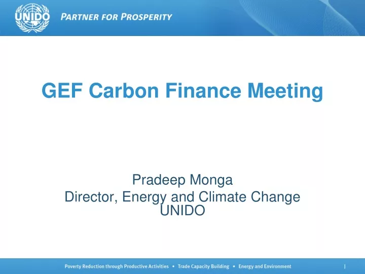 gef carbon finance meeting