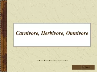Carnivore, Herbivore, Omnivore