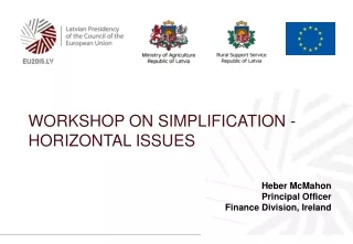 Workshop on simplification - Horizontal issues