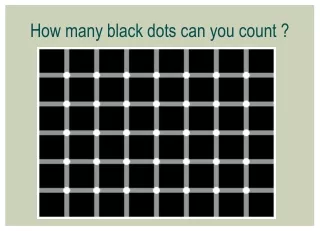 How many black dots can you count ?