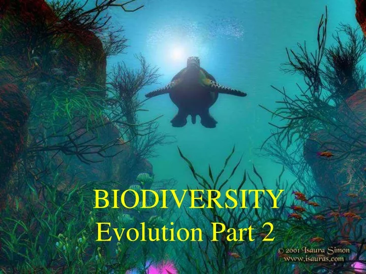 biodiversity evolution part 2