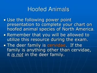 Hoofed Animals