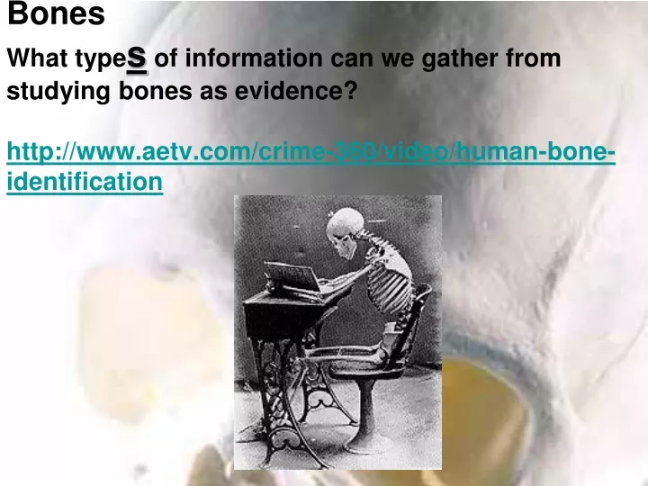 forensic anthropology s tudying bones what type