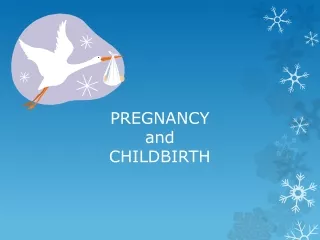 PREGNANCY  and  CHILDBIRTH