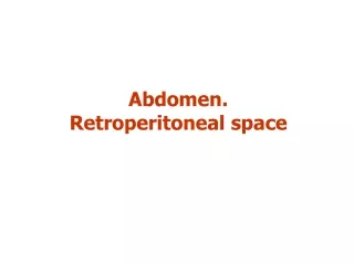 Abdomen. Retroperitoneal space