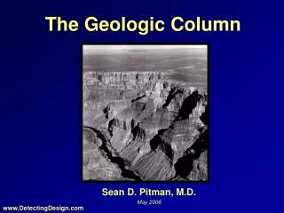 The Geologic Column