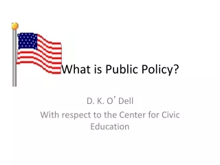 What is Public Policy?