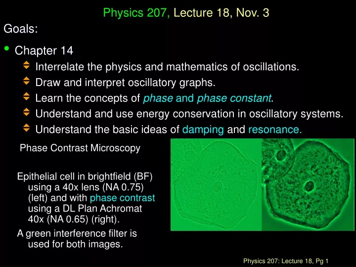 physics 207 lecture 18 nov 3