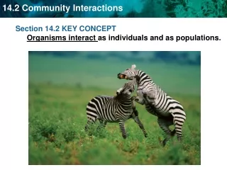 Section 14.2 KEY CONCEPT  Organisms interact  as individuals and as populations.