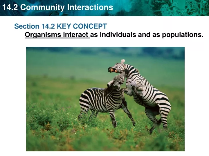 section 14 2 key concept organisms interact