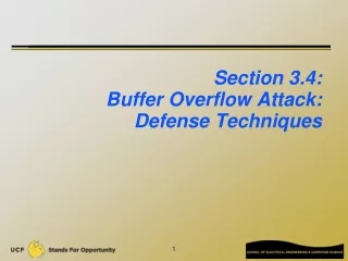 Section 3.4:   Buffer Overflow Attack:  Defense Techniques
