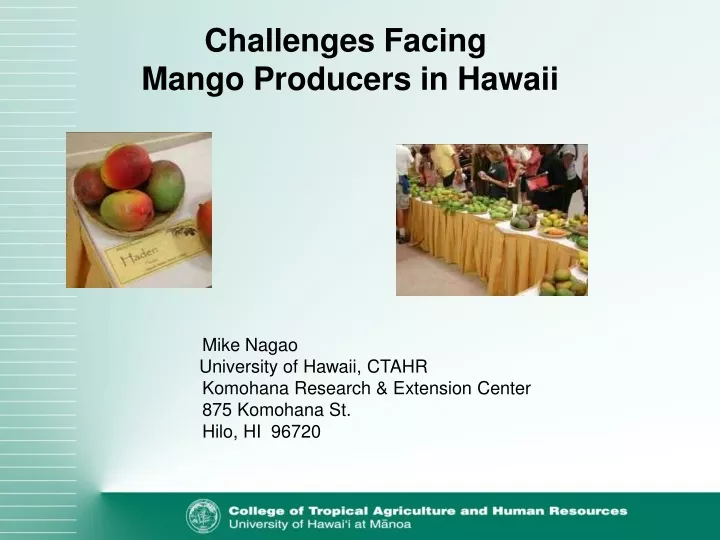 challenges facing mango producers in hawaii