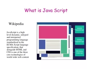 What is Java Script