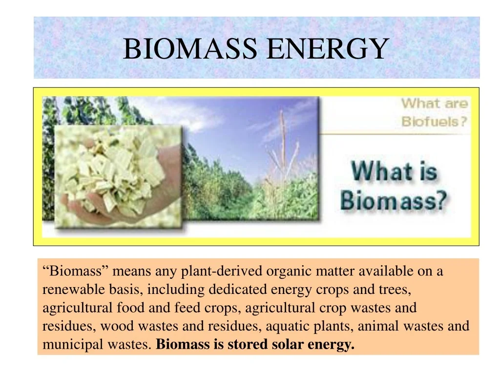 PPT - Exploring Biomass Energy and Technologies for a Sustainable ...