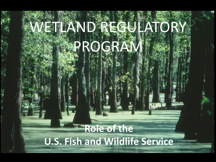 wetland regulatory program