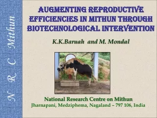 Augmenting  Reproductive Efficiencies in  Mithun through Biotechnological Intervention