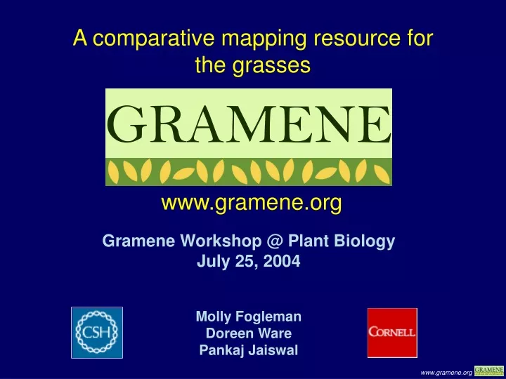 a comparative mapping resource for the grasses