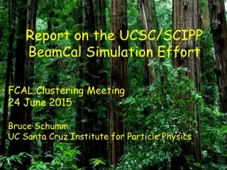 Report on the UCSC/SCIPP BeamCal Simulation Effort FCAL Clustering Meeting 24 June 2015