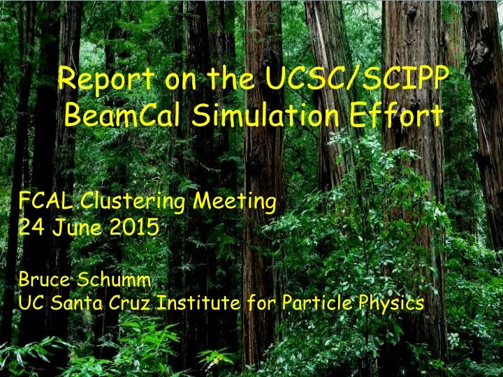 report on the ucsc scipp beamcal simulation