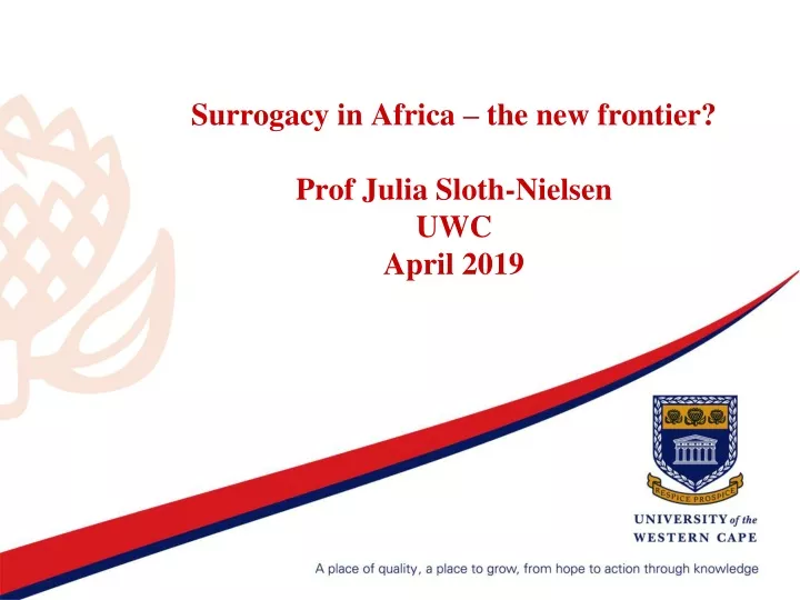 surrogacy in africa the new frontier prof julia sloth nielsen uwc april 2019