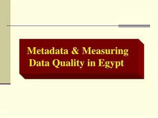 Metadata &amp; Measuring Data Quality in Egypt