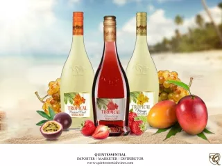 QUINTESSENTIAL IMPORTER | MARKETER | DISTRIBUTOR quintessentialwines