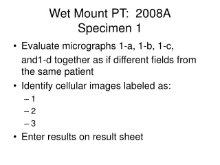 Wet Mount PT:  2008A Specimen 1