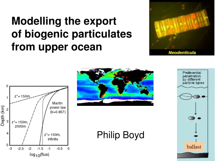 modelling the export of biogenic particulates from upper ocean