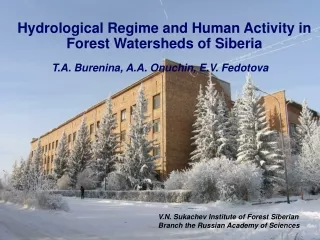Hydrological Regime and Human Activity in Forest Watersheds of Siberia