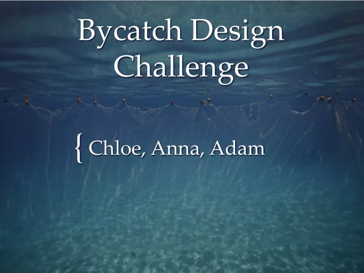 bycatch design challenge