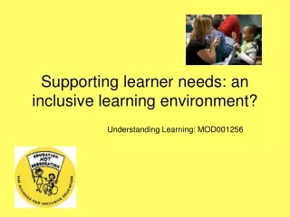 Supporting learner needs: an inclusive learning environment?