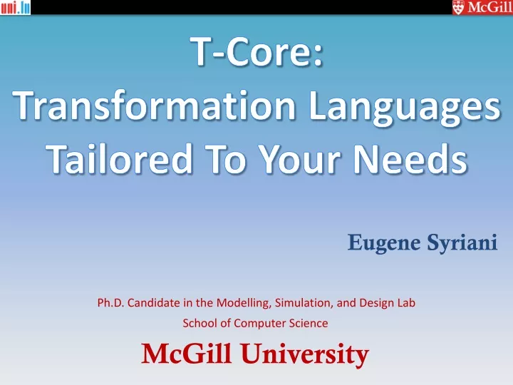 t core transformation languages tailored to your needs