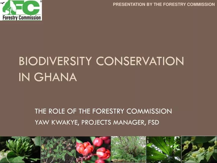 biodiversity conservation in ghana