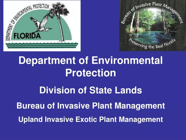 department of environmental protection division