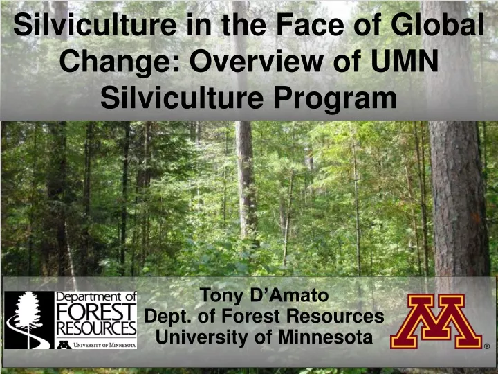 silviculture in the face of global change overview of umn silviculture program